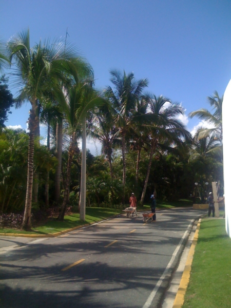 2CHILLING@RESORT7.jpg